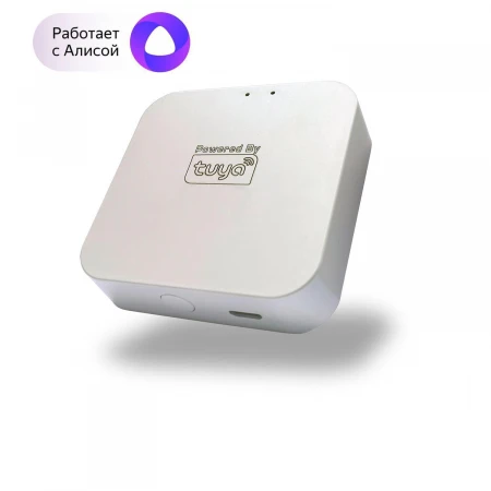 WI-FI Converter Denkirs DK7400-WF
