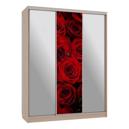 Шкаф-купе Бассо 9-600 89