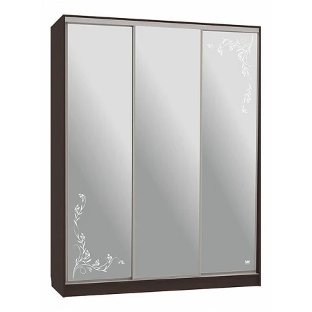 Шкаф-купе Бассо 4-600 цветы 2