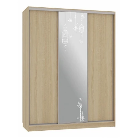 Шкаф-купе Бассо 1-600 птицы