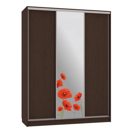 Шкаф-купе Бассо 1-600 маки