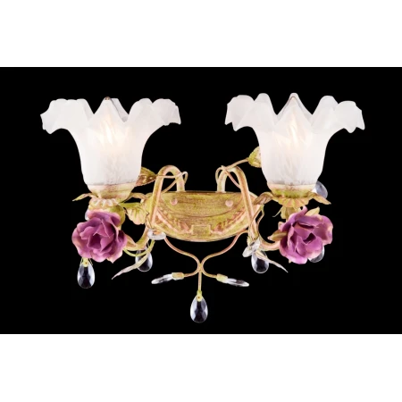 B1289/2W PINK GOLD (2) Бра NW 