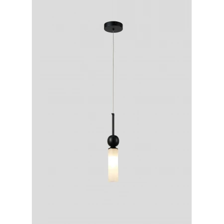 82140-1B BK (1/10) Подвесные светильники NW 