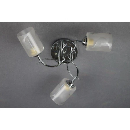 Д88033/3 (4)с/к  светильник потолочный [01066227] - Эконом класс люстры