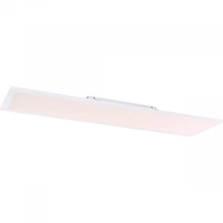 Потолочный светодиодный светильник Globo Rosi 41604D5SH