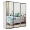 Шкафы-купе 3-х дверный Экспресс Экспенс трио зеркальный 