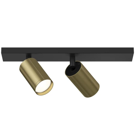 Точечный светильник Maytoni C051CL-02BBS FOCUS S