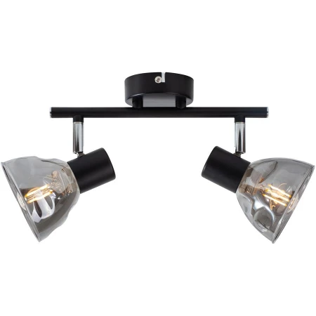 Спот Toplight TL1234Y-02BL