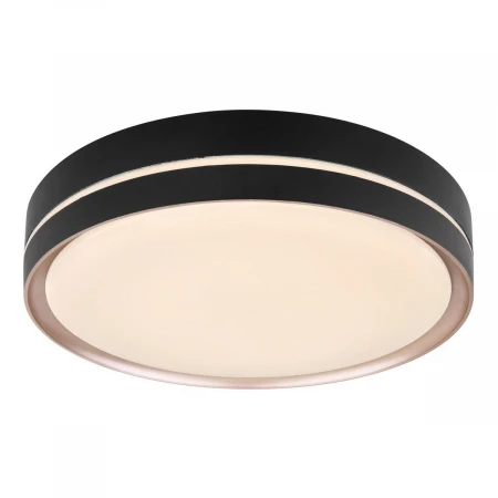 Потолочный светодиодный светильник Globo Manni 41759-24