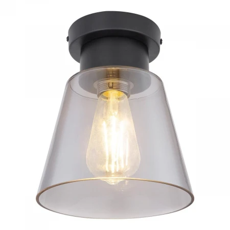 Потолочный светильник Globo Gumba 15561D