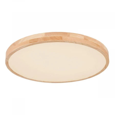 Потолочный светодиодный светильник Globo Leanara 41756-48