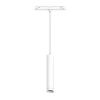 Трековый светодиодный светильник Arlight Mag-Orient-Spot-Hang-R45-12W Day4000 035828