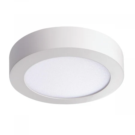 Потолочный светодиодный светильник Kanlux CARSA V2LED 12W-NW-W 28948