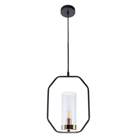 Подвесной светильник Arte Lamp Celaeno A7004SP-1BK