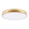 Потолочный светодиодный светильник Loft IT Flims 10228/A