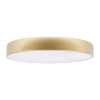 Потолочный светодиодный светильник Loft IT Flims 10228/A