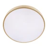 Потолочный светодиодный светильник Loft IT Flims 10228/A