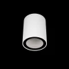 Накладной светильник Loft IT Rush 10344 White
