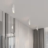 Потолочный светодиодный светильник Elektrostandard Apex 25113/LED a068289