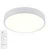 Потолочный светодиодный светильник Natali Kovaltseva LED LAMPS 81111/5C
