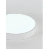 Потолочный светодиодный светильник Natali Kovaltseva LED LAMPS 81111/5C