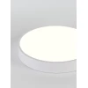Потолочный светодиодный светильник Natali Kovaltseva LED LAMPS 81111/5C