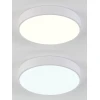 Потолочный светодиодный светильник Natali Kovaltseva LED LAMPS 81111/5C