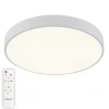 Потолочный светодиодный светильник Natali Kovaltseva LED LAMPS 81112/5C