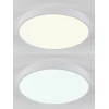 Потолочный светодиодный светильник Natali Kovaltseva LED LAMPS 81112/5C