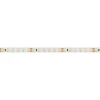 Светодиодная лента Arlight 9,6W/m 120LED/m 2835SMD холодный белый 50M 024568(2)