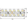Светодиодная лента SWG 19,2W/m 240Led/m 3528SMD холодный белый 5M SWG3240-24-19.2-W-М 009249