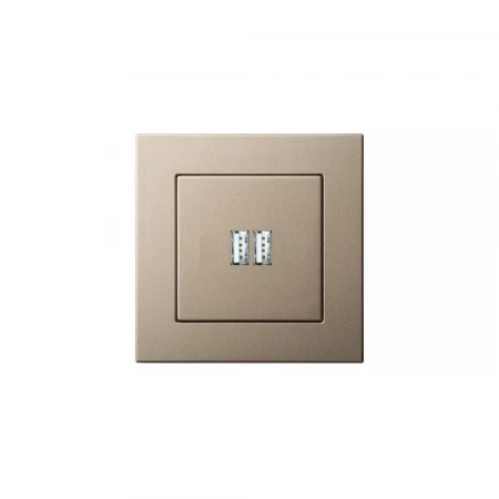 Розетка 2xUSB Liregus Epsilon шампань 28-3242