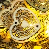 Cветодиодная гирлянда Sneha Сердце 230V теплый белый статичный A-406