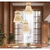 Подвесная люстра Imperium Loft Peo C D50 232564-23