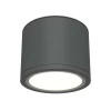 Потолочный светильник Maytoni Technical Rendo C095CL-GX53-GR