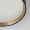 Потолочный светодиодный светильник Citilux Etalon CL750181