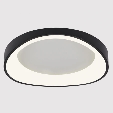 Потолочный светодиодный светильник Arte Lamp Sualocin A2698PL-60BK