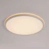 Потолочный светодиодный светильник Citilux Norma CL748400
