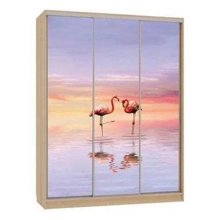 Шкаф-купе Бассо 7-600 19