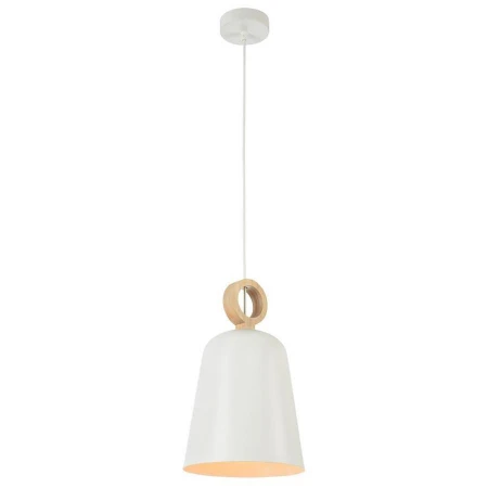 Светильник Maytoni T445-PL-01-W Dayton