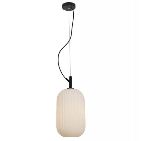 Светильник Favourite 2111-1P Rice Motif