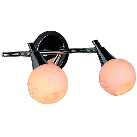 Спот Omnilux OML-21501-02