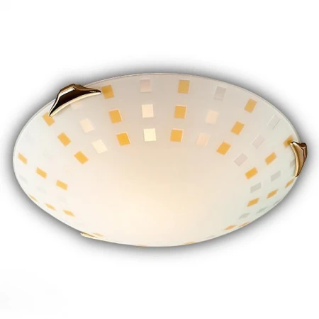 Настенно-потолочный светильник Sonex 163/K Quadro Ambra