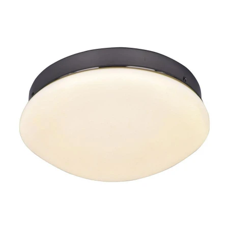 Светильник F-Promo 2468-1C Ledante