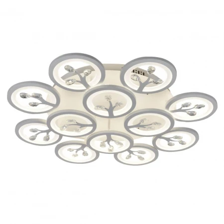 Потолочная светодиодная люстра F-Promo Ramus 2390-12U