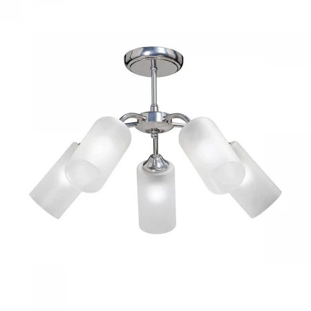 Потолочная люстра Vitaluce V3813-9/5PL