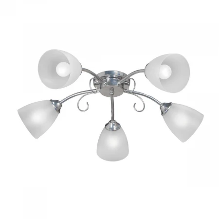 Потолочная люстра Vitaluce V3819-9/5PL