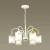 Подвесная люстра Odeon Light Smily 4652/6