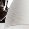Подвесная люстра Arte Lamp 82 A9312LM-5BR