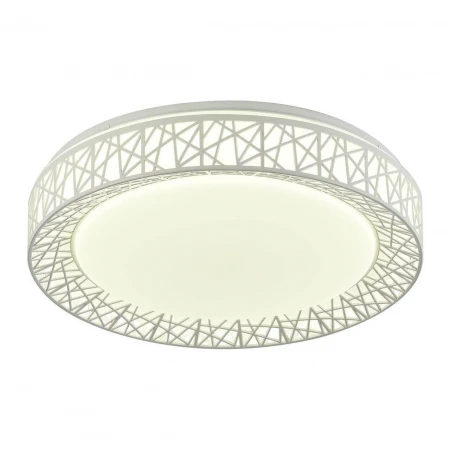 Потолочный светодиодный светильник F-Promo Creatura 2314-5C